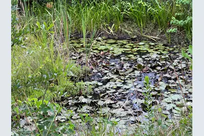 6807 John Pitts Road, Panama City, FL 32404 - Photo 4