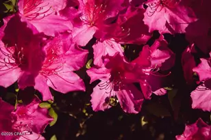 6641 Cedar St, Wewahitchka, FL 32465 - Photo 28