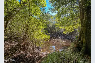 16540 NW County Road 379A, Bristol, FL 32321 - Photo 38