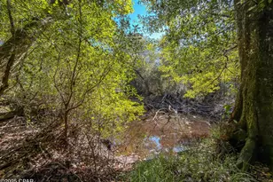 16540 NW County Road 379A, Bristol, FL 32321 - Photo 38