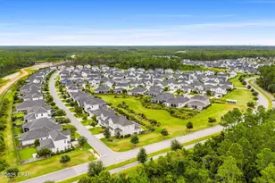 149 Windrow Way, Inlet Beach, FL 32461 - Photo 50