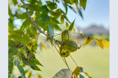 4738 Cherokee Heights Road, Panama City, FL 32404 - Photo 60