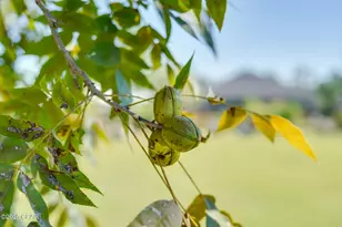 4738 Cherokee Heights Rd, Panama City, FL 32404 - Photo 60