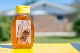 4738 Cherokee Heights Rd, Panama City, FL 32404 - Photo 54