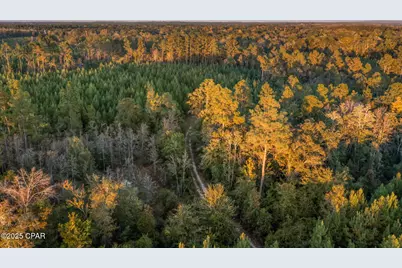 Xxx Open Creek Road #South Lot, Chipley, FL 32428 - Photo 12