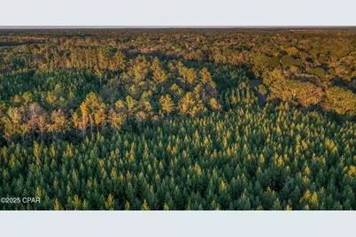 Xxx Open Creek Road #South Lot, Chipley, FL 32428 - Photo 10