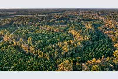 Xxx Open Creek Road #South Lot, Chipley, FL 32428 - Photo 8