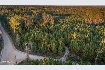 1503 Open Creek Road #North Lot, Chipley, FL 32428 - Photo 14