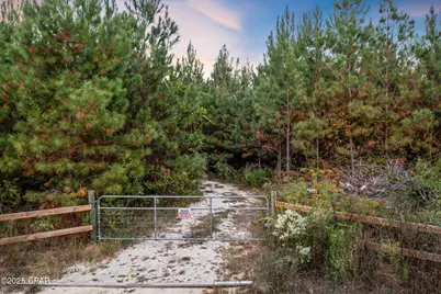 1503 Open Creek Road #North Lot, Chipley, FL 32428 - Photo 2