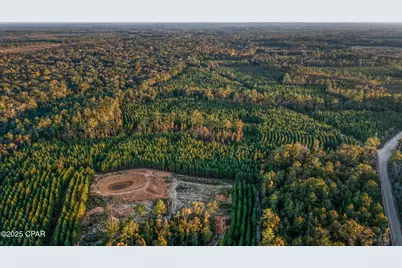 1503 Open Creek Road #North Lot, Chipley, FL 32428 - Photo 10