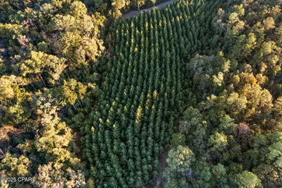 1503 Open Creek Road #North Lot, Chipley, FL 32428 - Photo 12