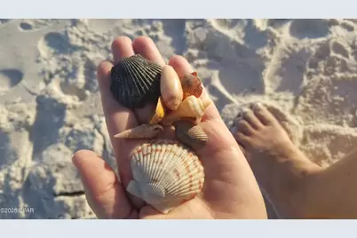 959 Camp Fire Circle, Panama City Beach, FL 32413 - Photo 50