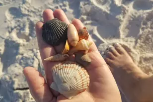 959 Camp Fire Cir, Panama City Beach, FL 32413 - Photo 50