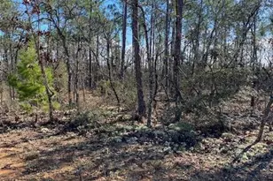 00 Orange Peel, Marianna, FL 32448 - Photo 1