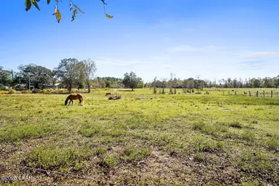 5171 Galloway Road, Graceville, FL 32440 - Photo 36