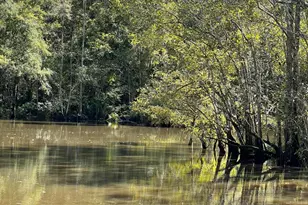 696 Smokehouse Lake Rd, Ponce de Leon, FL 32455 - Photo 24