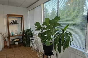 900 E 3rd St, Panama City, FL 32401 - Photo 16