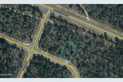 Loy 16 Ardenwood Drive, Chipley, FL 32428 - Photo 1