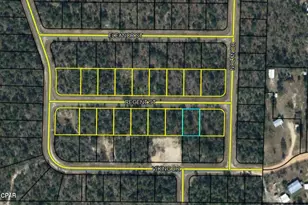 Lot 8 Regent St, Chipley, FL 32428 - Photo 1