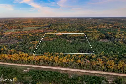 Xxx Fortune Pond Road #(North 20 acres), Vernon, FL 32462 - Photo 4