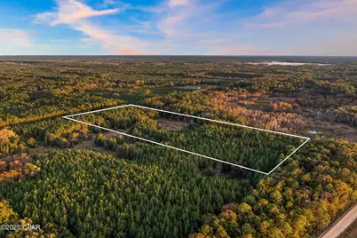 Xxx Fortune Pond Road #(South 20 acres), Vernon, FL 32462 - Photo 4