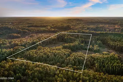 Xxx Fortune Pond Road #(South 20 acres), Vernon, FL 32462 - Photo 2