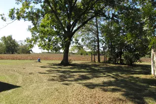 5493 Ellaville Rd, Campbellton, FL 32426 - Photo 2