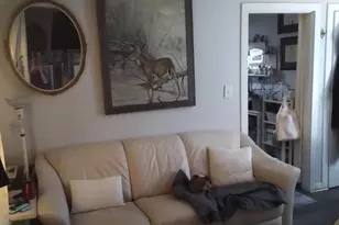 215 N Macarthur Ave, Panama City, FL 32401 - Photo 44