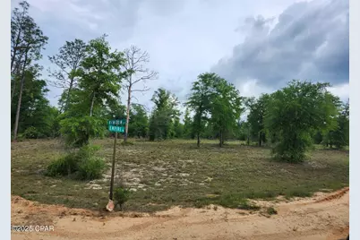 Tbd Empire Avenue, Alford, FL 32420 - Photo 2