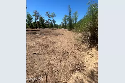 Tbd Empire Avenue, Alford, FL 32420 - Photo 10