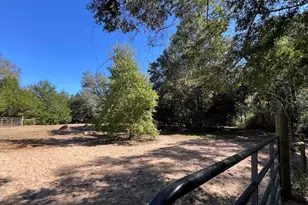 2826 Irene St, Ponce de Leon, FL 32455 - Photo 40