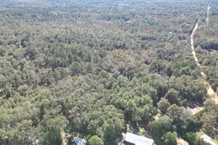 2826 Irene St, Ponce de Leon, FL 32455 - Photo 4