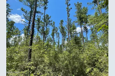 2826 Irene Street, Ponce de Leon, FL 32455 - Photo 10