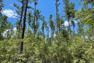 2826 Irene St, Ponce de Leon, FL 32455 - Photo 10