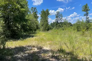 2826 Irene St, Ponce de Leon, FL 32455 - Photo 8