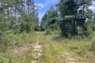 2826 Irene St, Ponce de Leon, FL 32455 - Photo 12