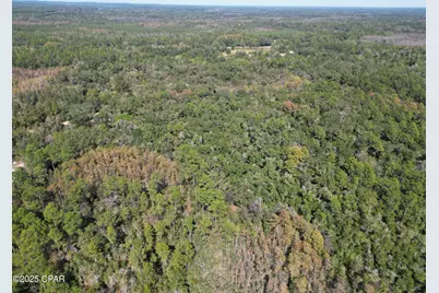 2826 Irene Street, Ponce de Leon, FL 32455 - Photo 2