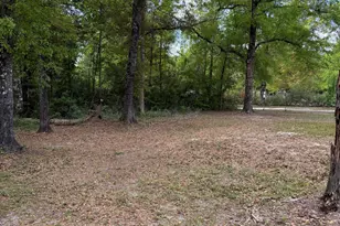 120 Woodmere Dr, Wewahitchka, FL 32465 - Photo 44