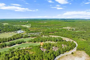 1405 Salamander Trail, Panama City Beach, FL 32413 - Photo 36