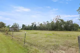 1559 Vickery Road Rd, Cottondale, FL 32431 - Photo 10