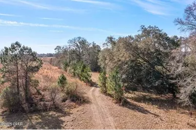 2045 US Highway 90, Cottondale, FL 32431 - Photo 2