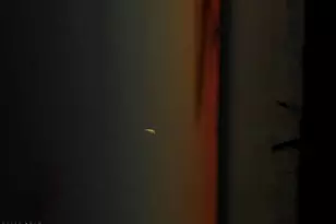 7070 Cape San Blas Rd, Port Saint Joe, FL 32456 - Photo 58