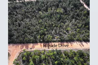 Tbd Hillside Drive, Marianna, FL 32448 - Photo 2