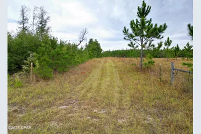 0 Glenmore Court, Marianna, FL 32446 - Photo 8