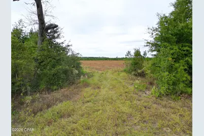 Tbd Glenmore Court, Marianna, FL 32446 - Photo 4