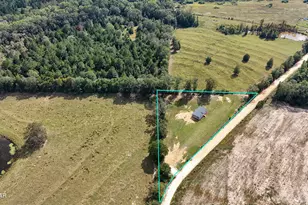 1139 Buddy Gilley Rd, Bonifay, FL 32425 - Photo 4