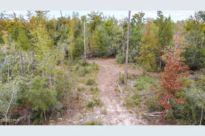 7939 John Pitts Road, Panama City, FL 32404 - Photo 8