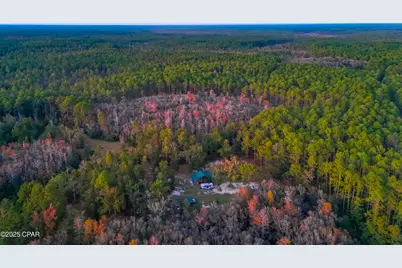 38134 SW Forest Road 123, Bristol, FL 32321 - Photo 40