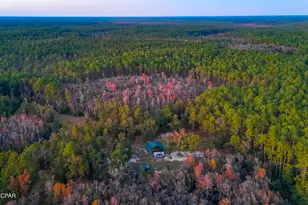 38134 SW Forest Road 123, Bristol, FL 32321 - Photo 40