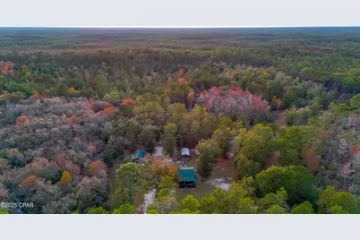 38134 SW Forest Road 123, Bristol, FL 32321 - Photo 34